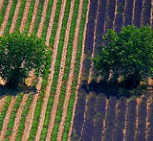23ème colloque de l’ADDES – LES FRONTIÈRES DE L’ÉCONOMIE SOCIALE SE SONT-ELLES DÉPLACÉES ? 9 novembre 2010 23ème colloque de l’ADDES – LES FRONTIÈRES DE L’ÉCONOMIE SOCIALE SE SONT-ELLES DÉPLACÉES ? 9 novembre 2010